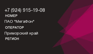 9249151908